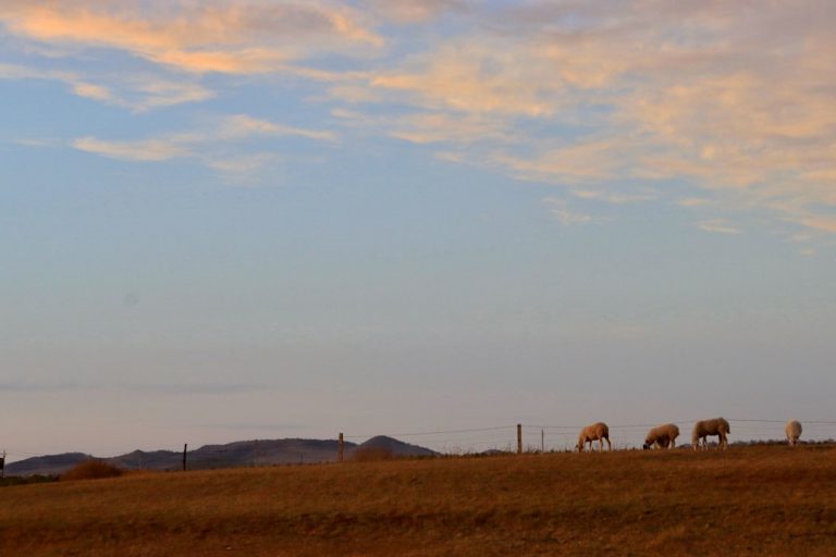 Embracing Nature: How Outdoor Adventures Can Transform Your Life